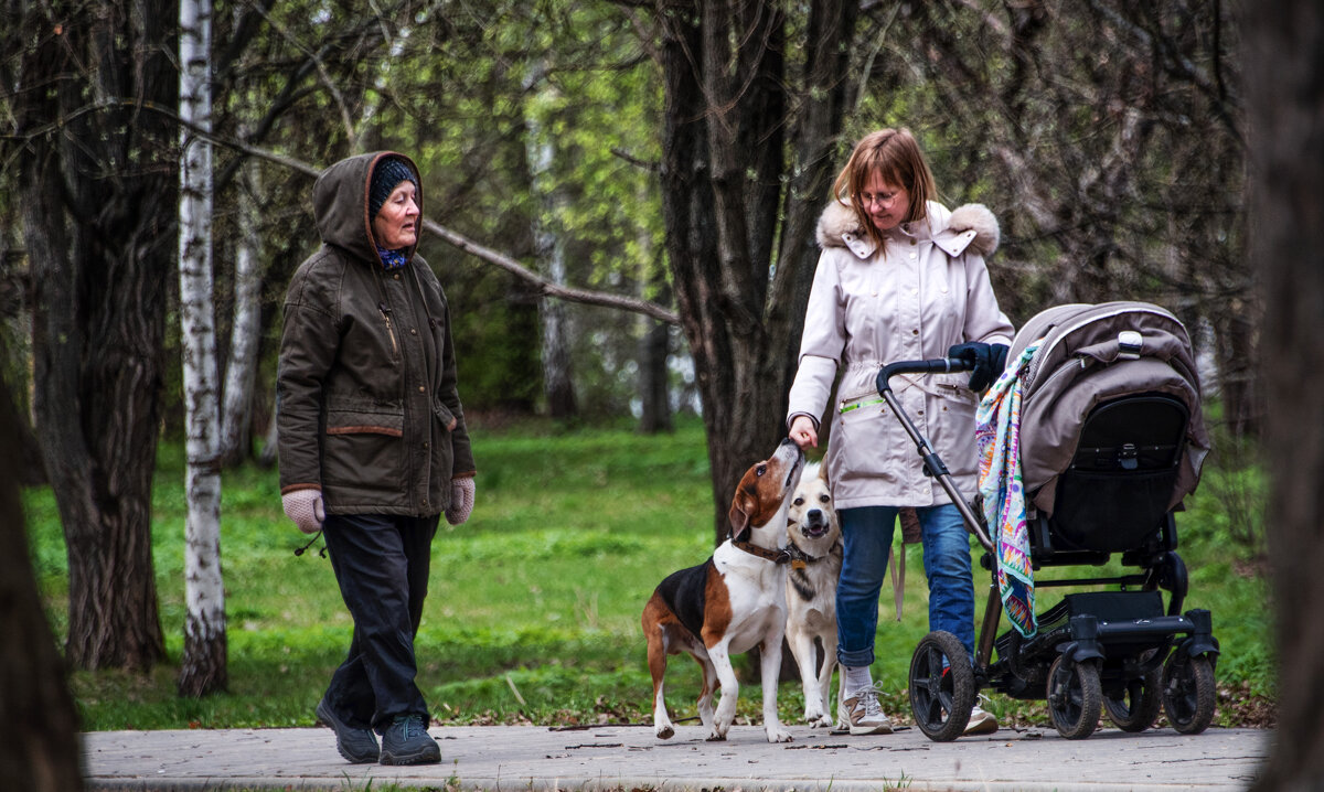 *** - Владимир Безбородов