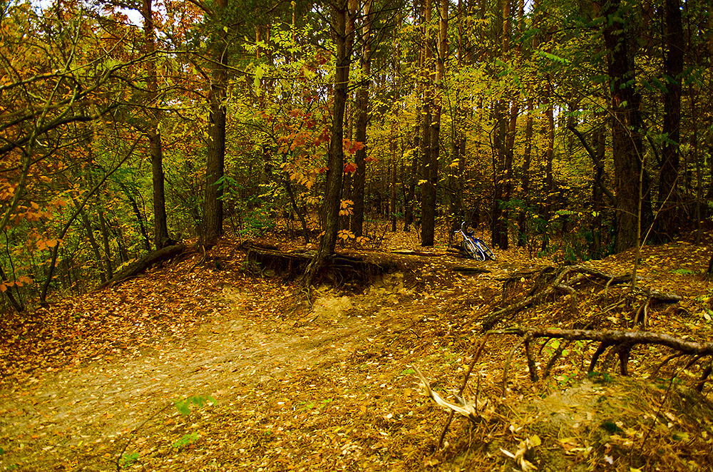 Велосипедная остановка - Владимир ЯЩУК
