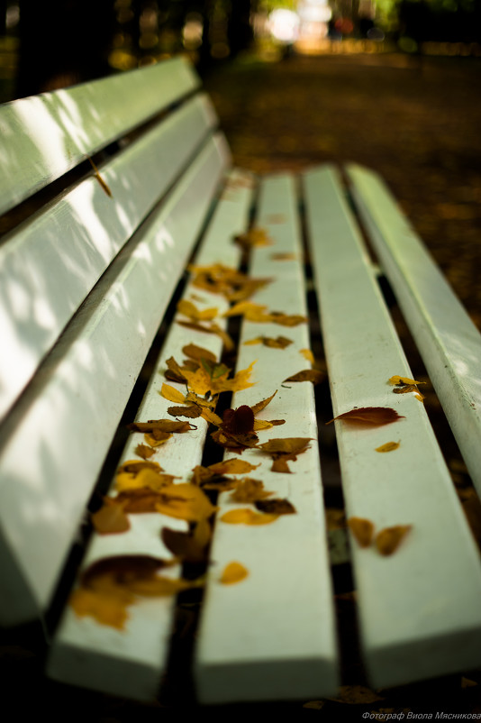 Осень - Виола Мясникова