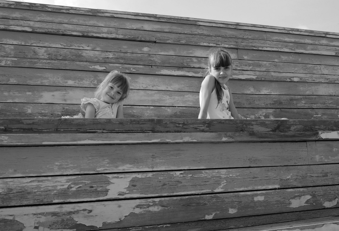 . - Анжелика Шмидт . - Анжелика Шмидт