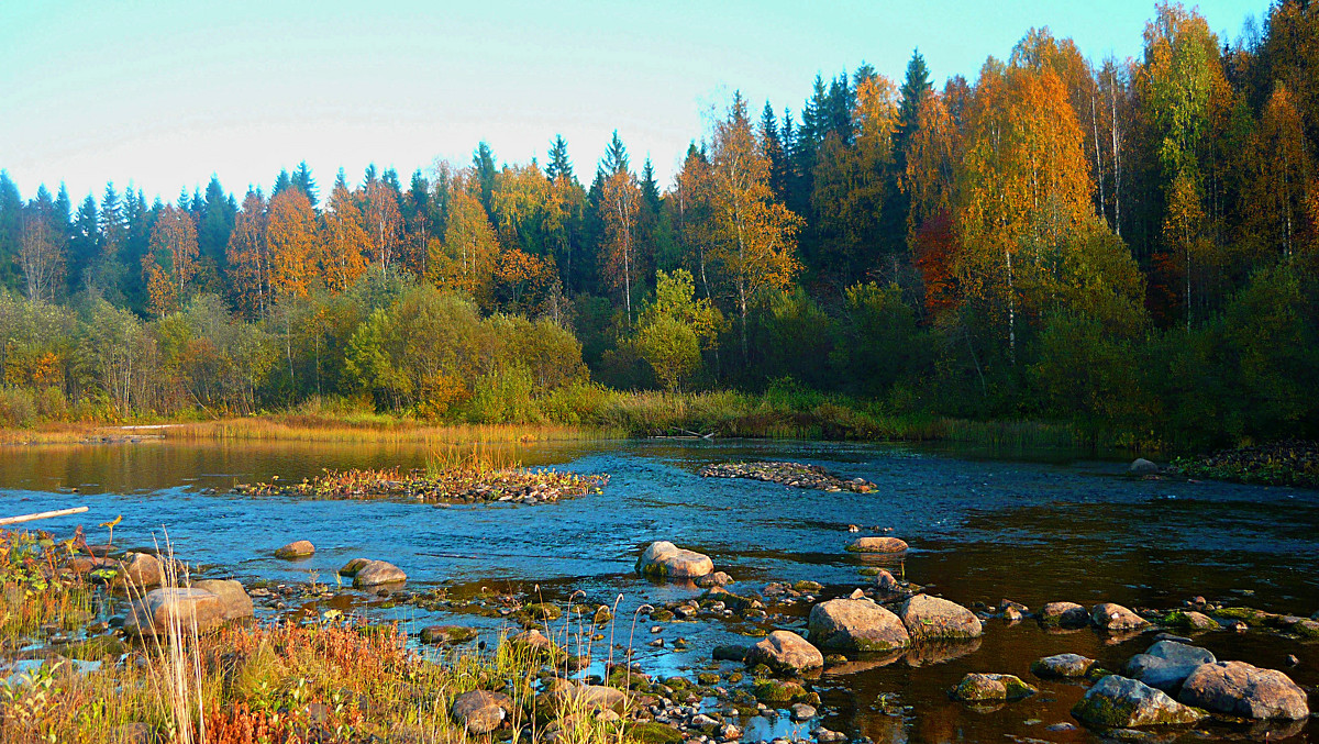 Осенняя природа - Александр Преображенский