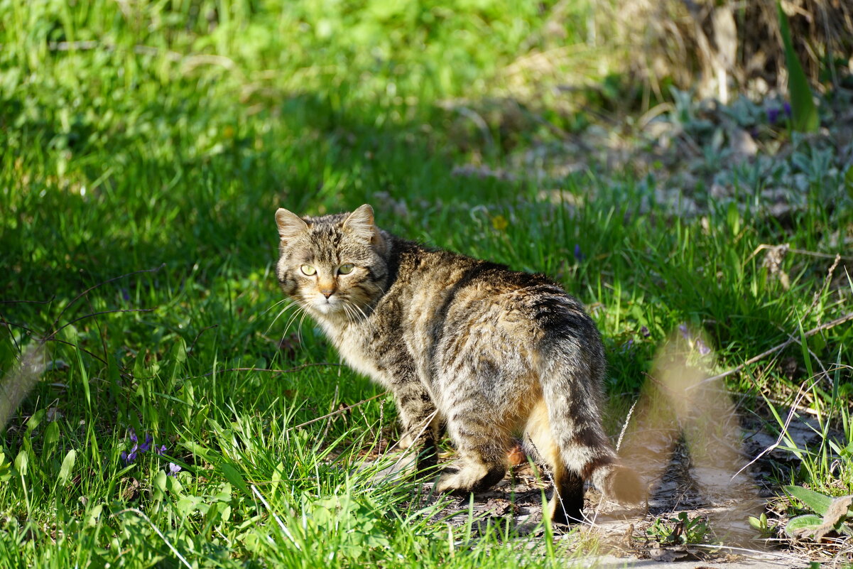 *** - Иван Литвинов *** - Иван Литвинов