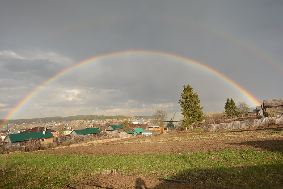 радуга - леонид логинов радуга - леонид логинов