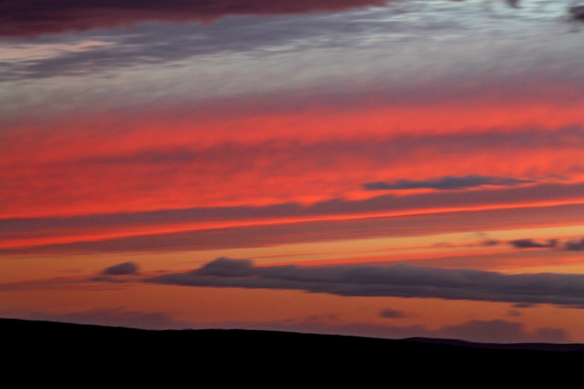 ... - Татьяна Перегудова ... - Татьяна Перегудова