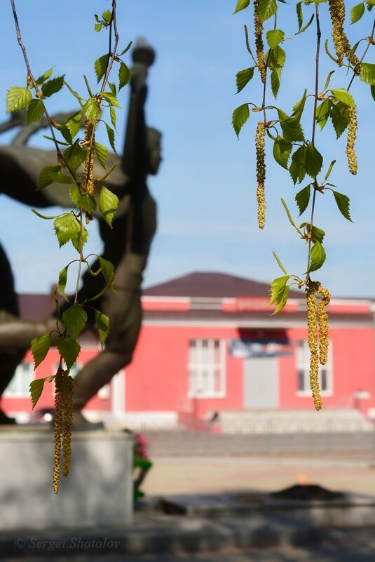 Память - Сергей Шаталов Память - Сергей Шаталов