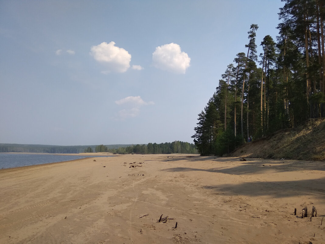 Побережье Камы,вода отступила... - Алена 