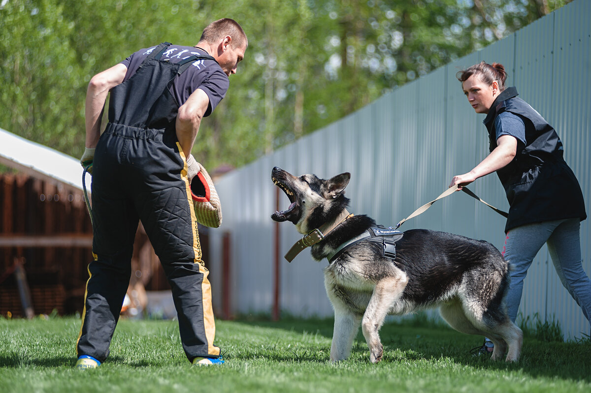 ЗКС - Алексей le6681 Соколов
