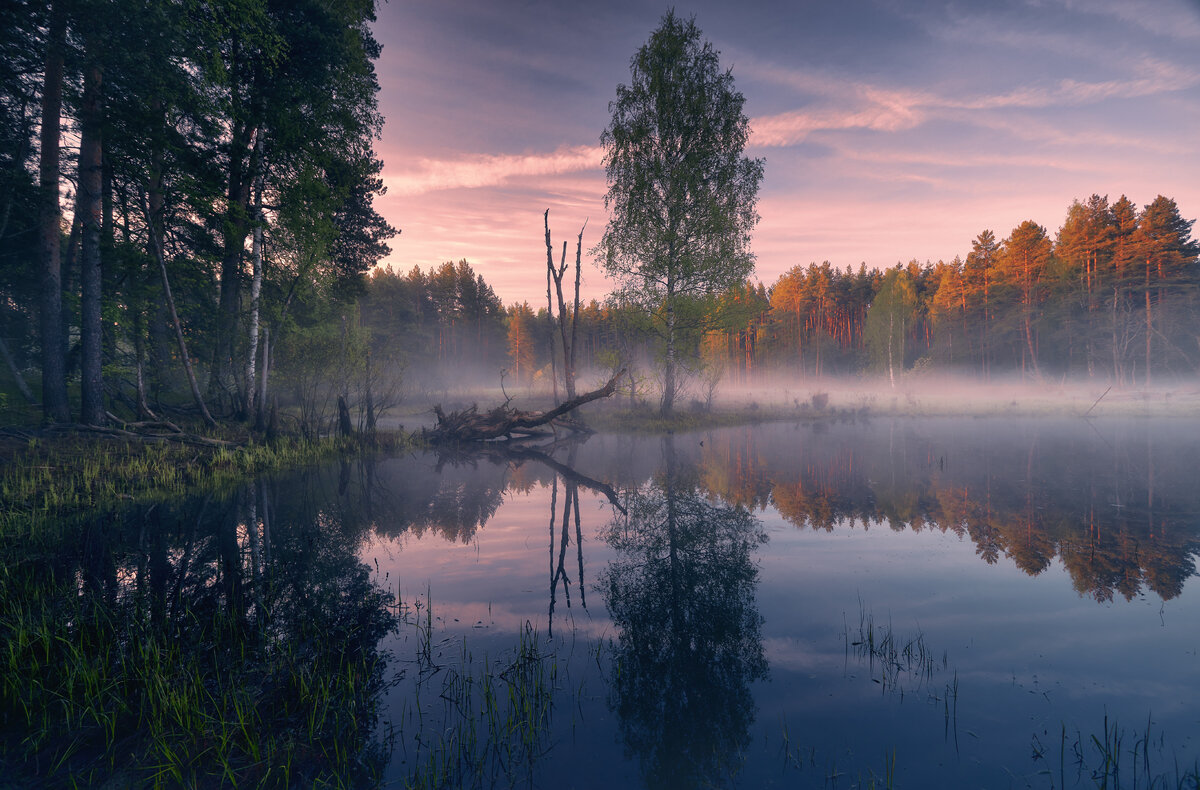 Гляжу в озёра синие ...© - Roman Lunin