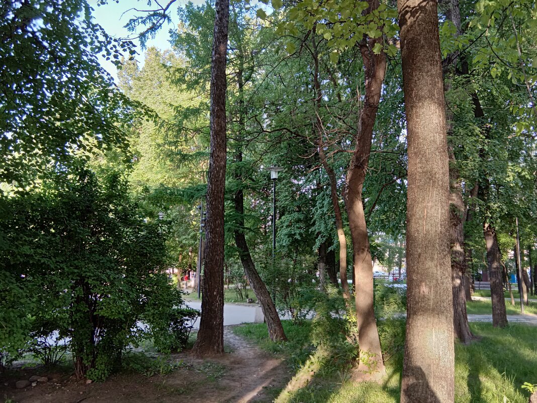 Игра теней - Tarka 