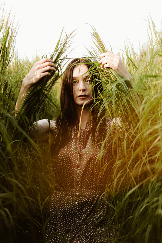 В траве - Владимир Kононенко