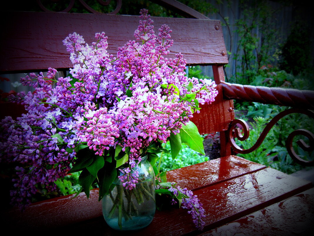 А просто летний дождь прошел... - TAMARA КАДАНОВА А просто летний дождь прошел... - TAMARA КАДАНОВА