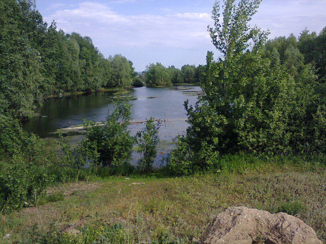 За городом. - Венера Чуйкова