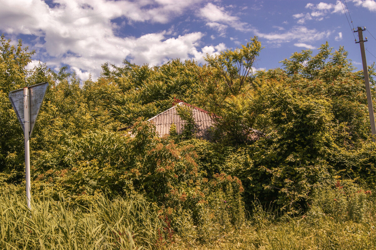 *** - Боксер . *** - Боксер .