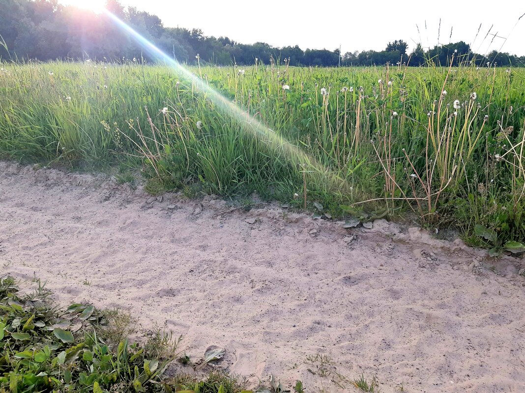 Пронзённые - Екатерина К. Пронзённые - Екатерина К.