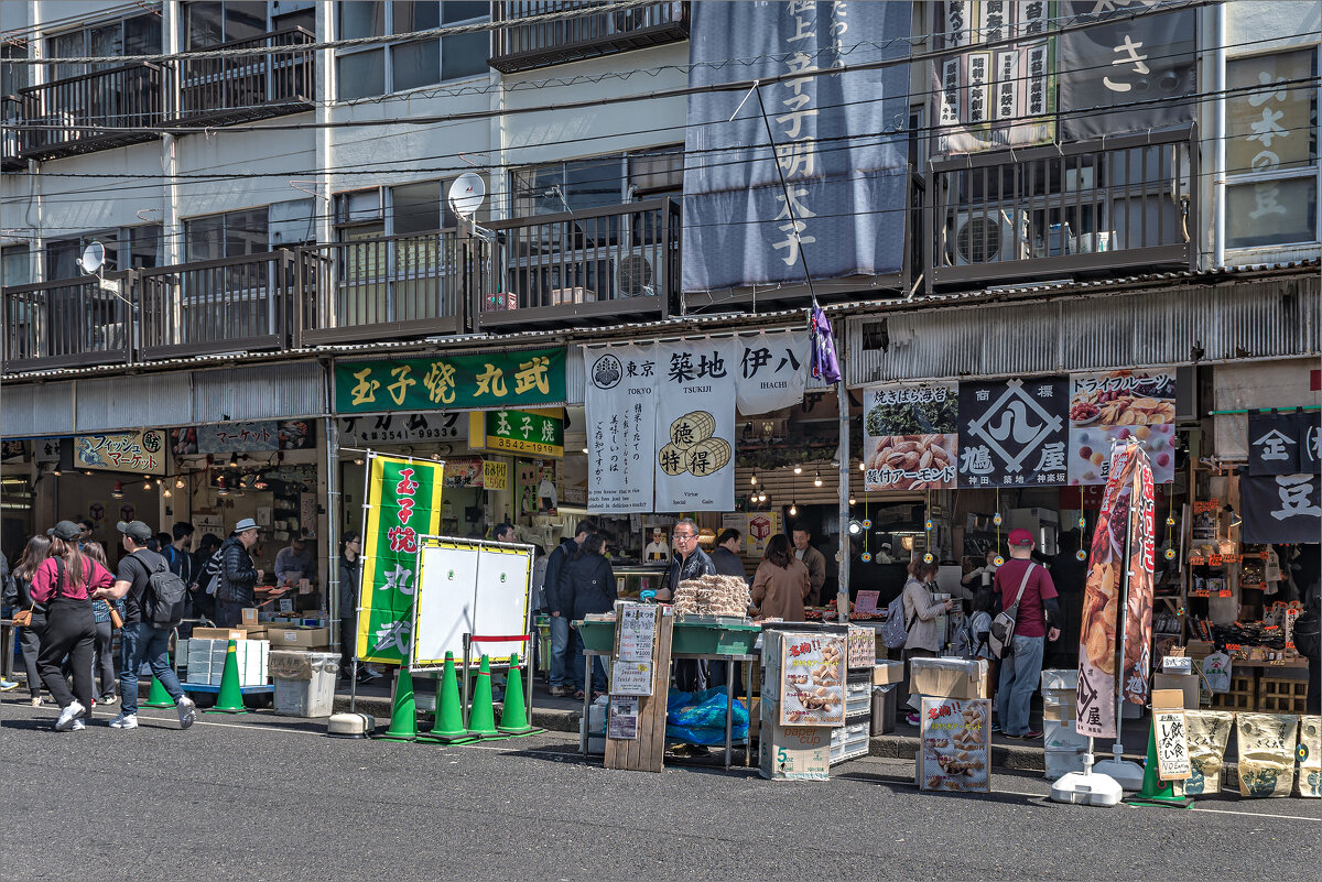 Токио большой и разнообразный (4) - Shapiro Svetlana 