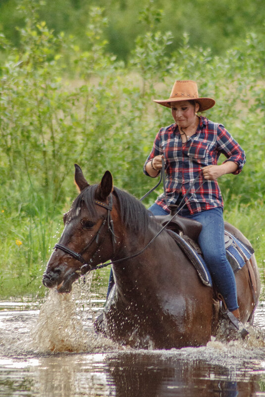 Образ ковбоя и лошади - Дмитрий 