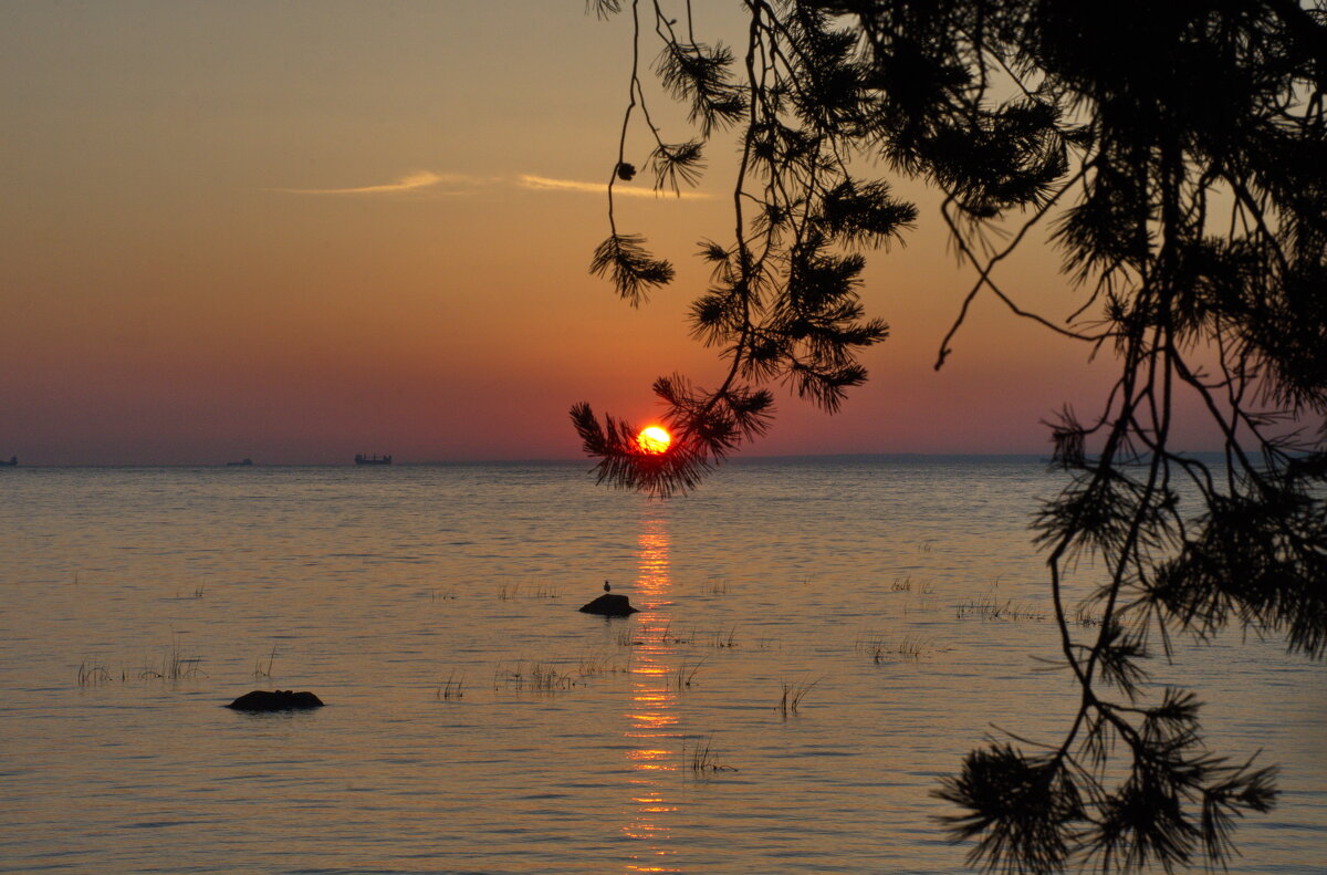 прикоснулась, задержалось и за горизонт "умчалось....." - Валентина Папилова прикоснулась, задержалось и за горизонт "умчалось....." - Валентина Папилова