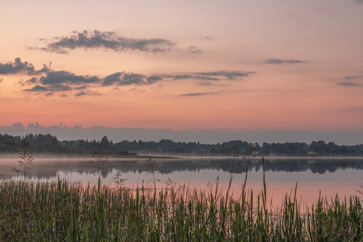 *** - Елена Елена