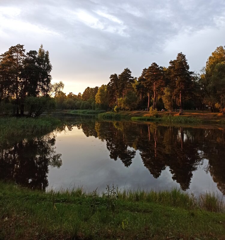 "Снова веет ночная прохлада... " - veilins veilins "Снова веет ночная прохлада... " - veilins veilins