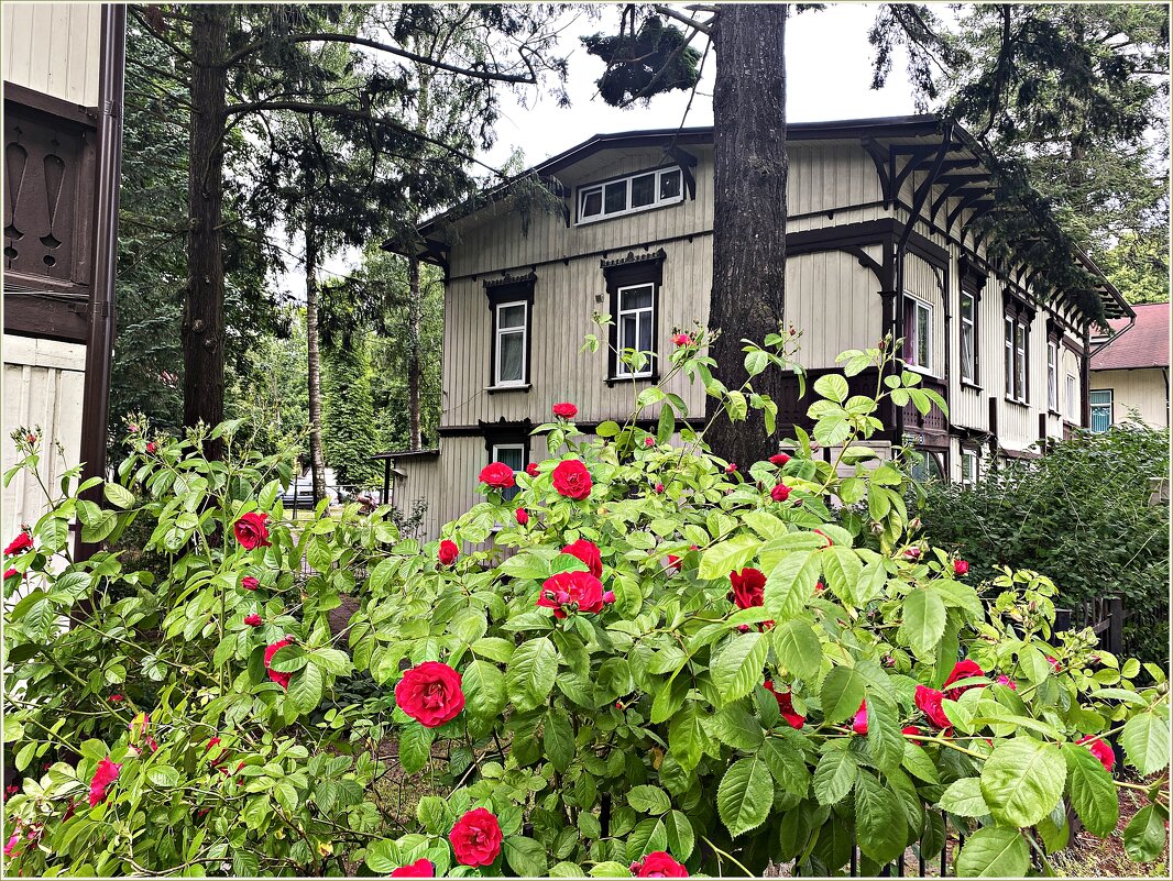 **** - Валерия Комова **** - Валерия Комова