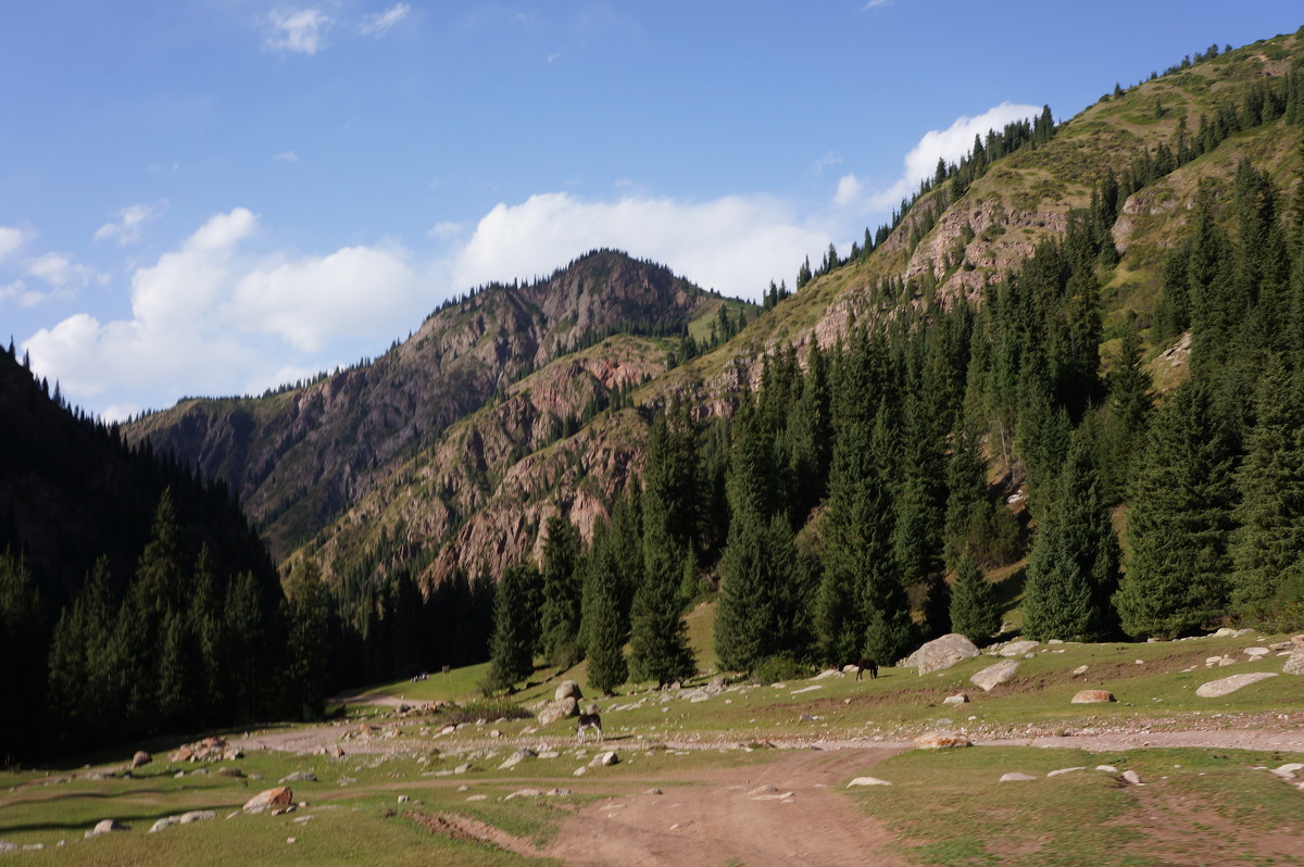 *** - татьяна 