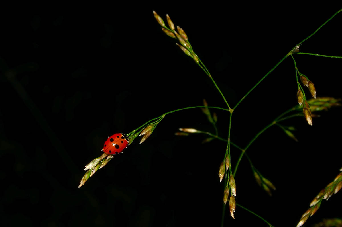 В пути - aohotenko 