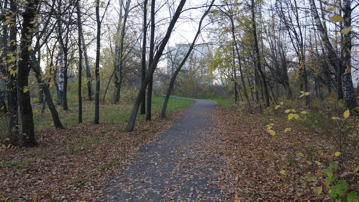 Аллейка - Борис Назаров