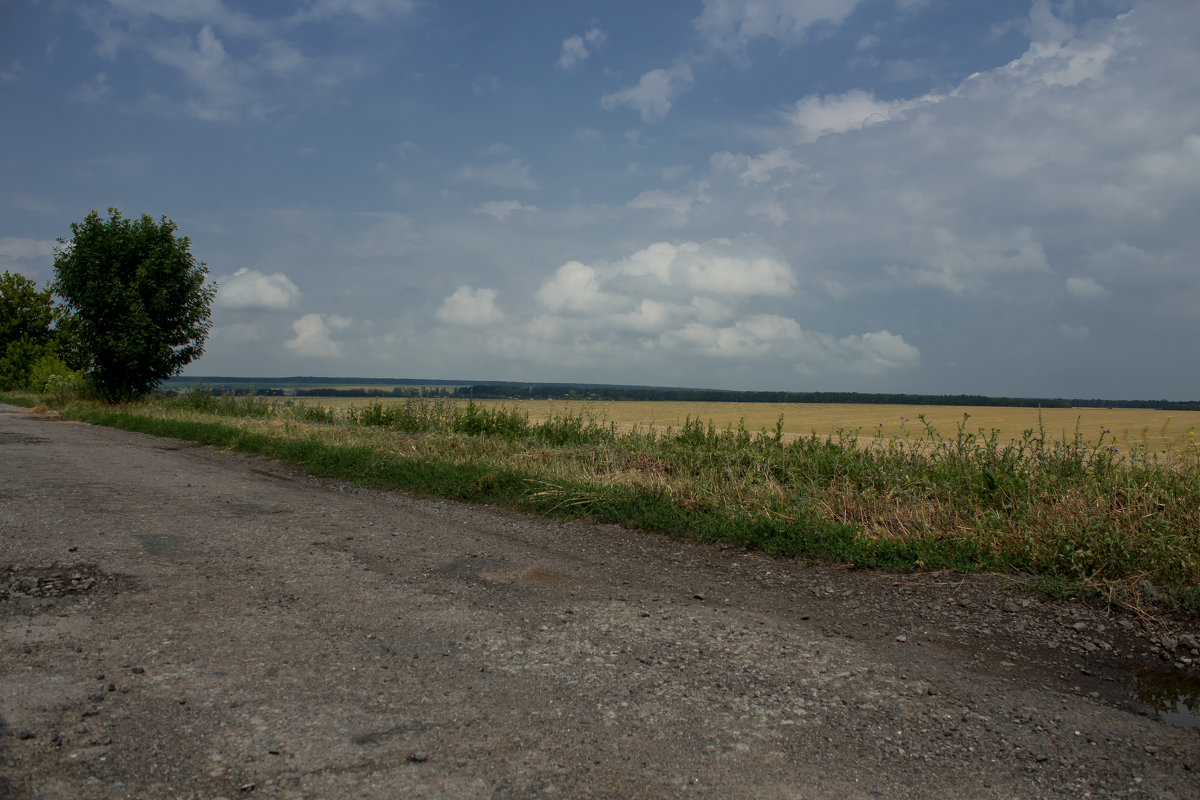 Дорога - Андрей Белозор