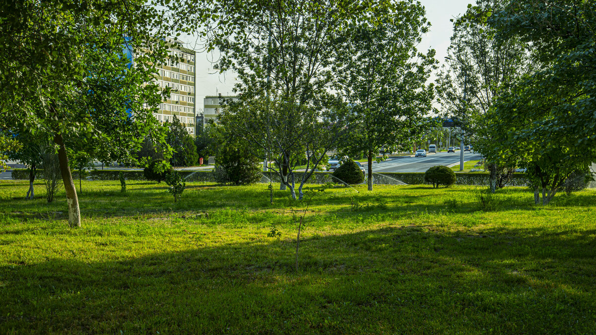 В тени городской - Анатолий Чикчирный