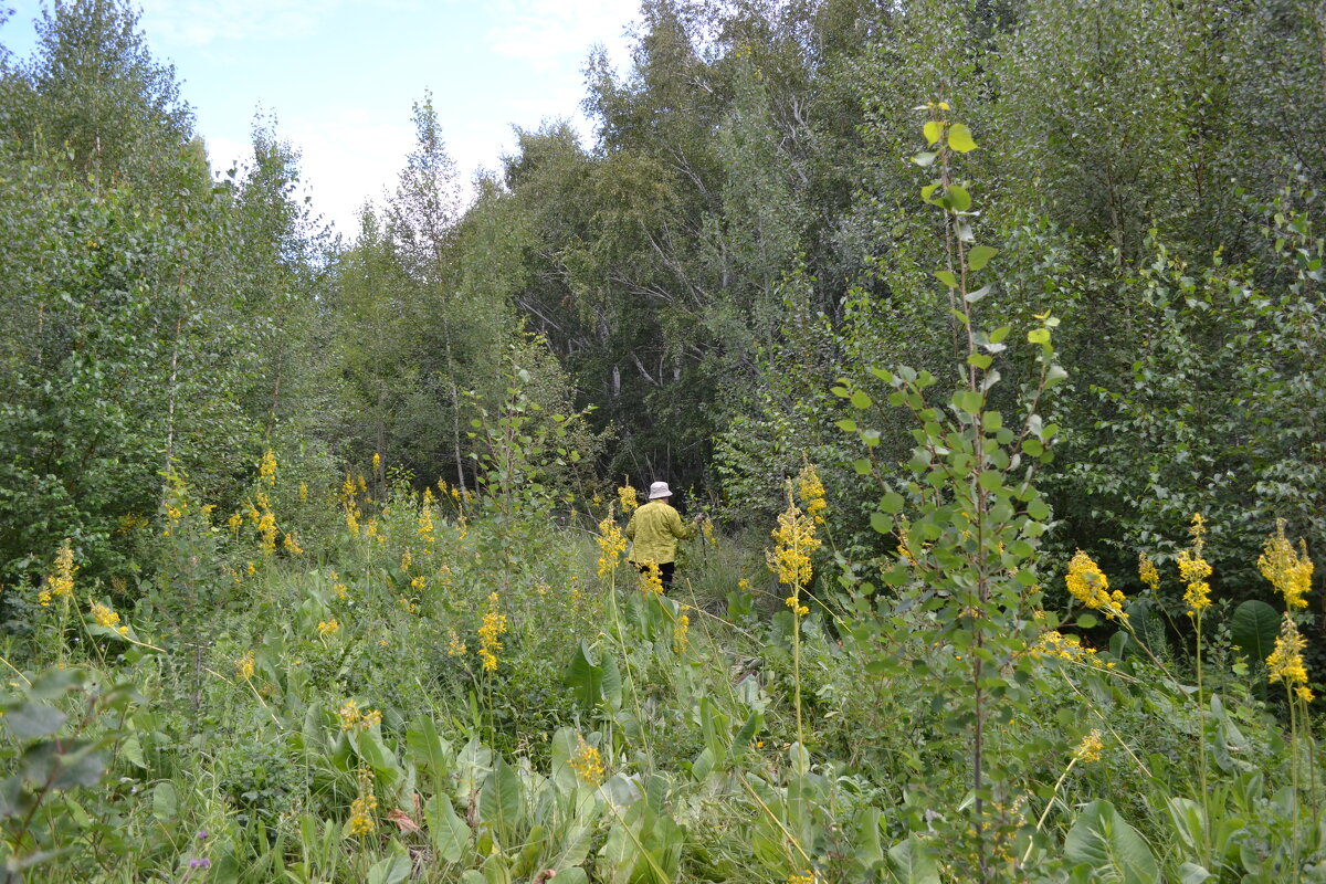 Слиться с природой.... - Андрей Хлопонин Слиться с природой.... - Андрей Хлопонин