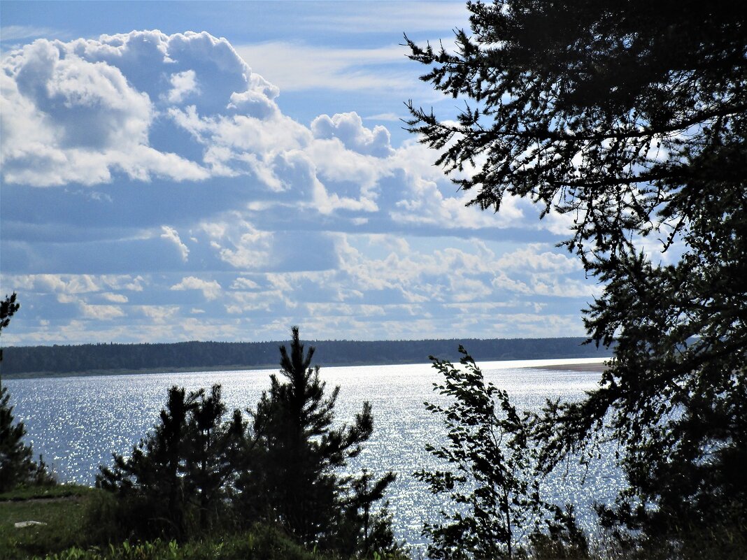 Река Северная Двина - ЛЮДМИЛА Река Северная Двина - ЛЮДМИЛА