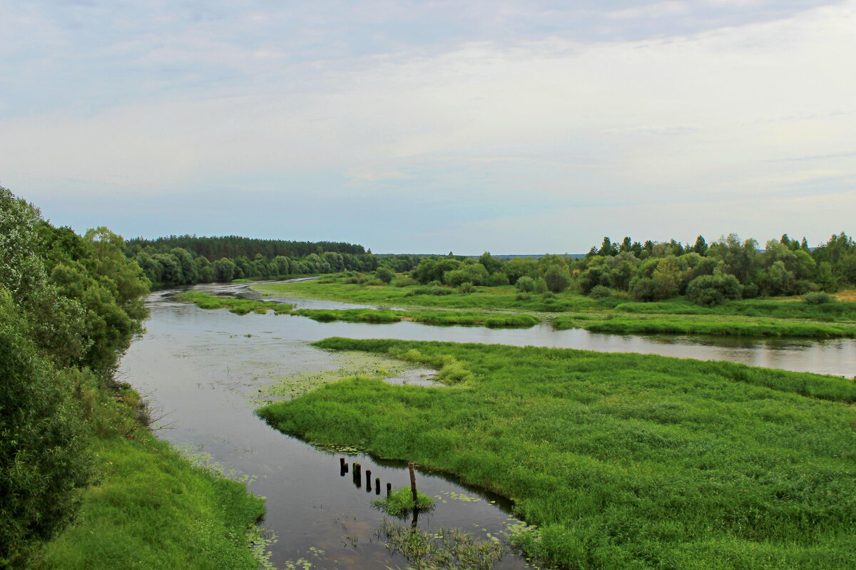 Река Ипуть. - Сергей 
