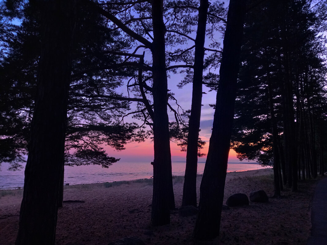 Закат - Сапсан 