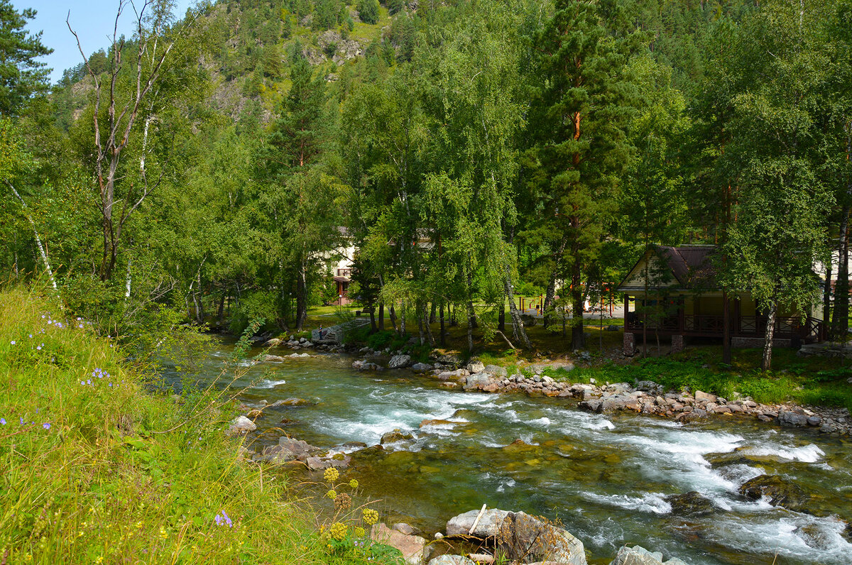 По р.Куба. - Валерий Медведев По р.Куба. - Валерий Медведев