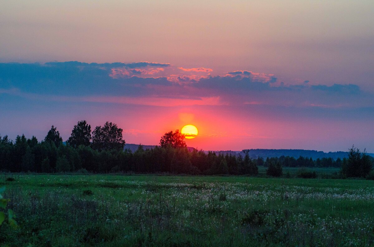 *** - Николай С