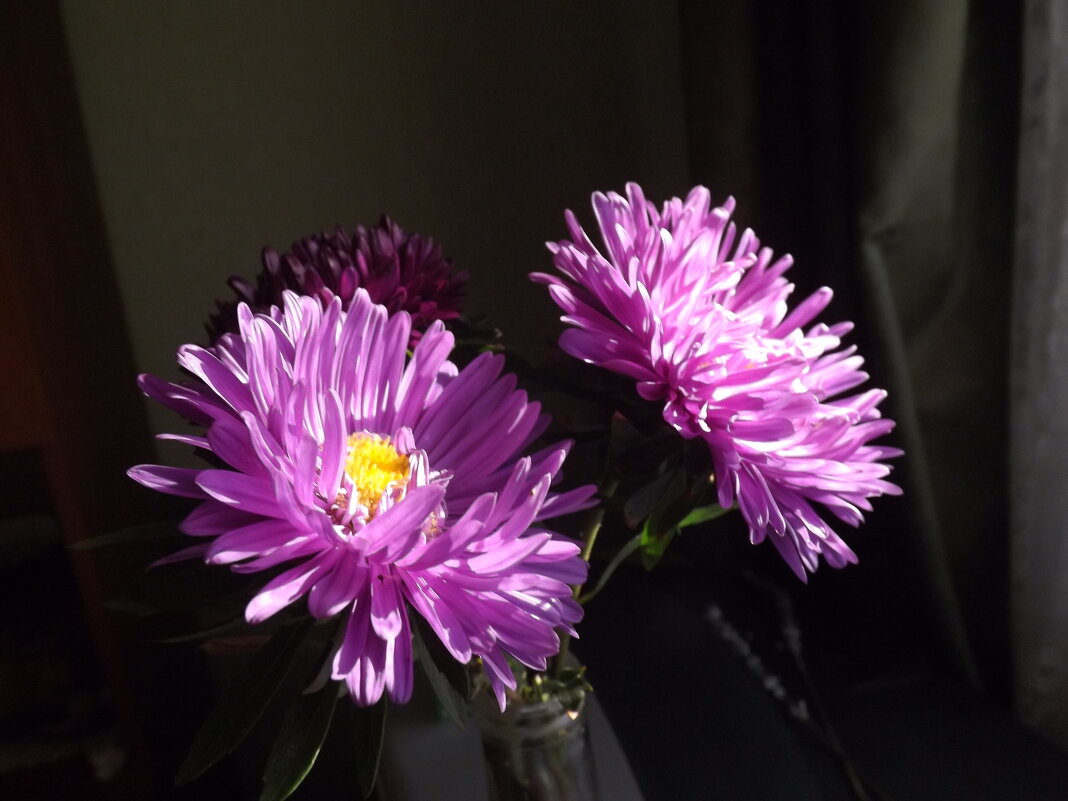 Солнцу навстречу! - Галина Квасникова