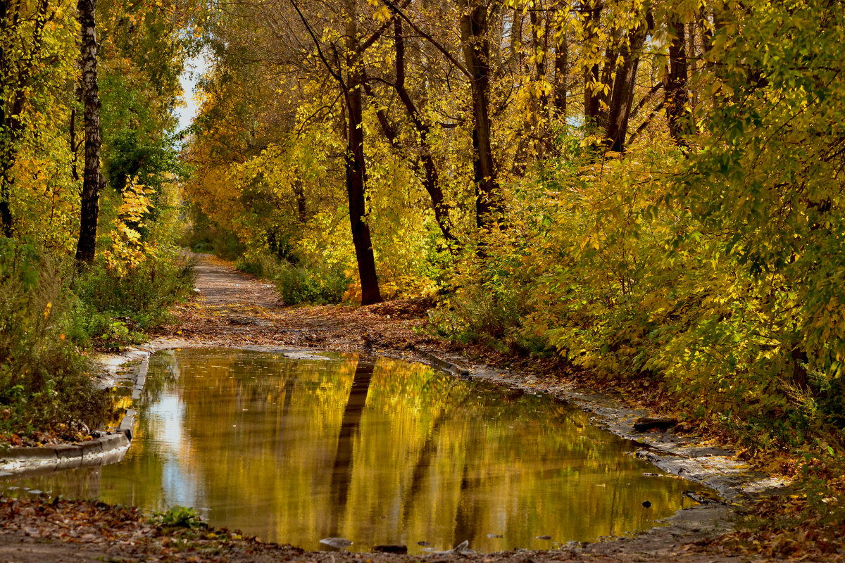 Самые красивые лужи. - Оксана Евкодимова Самые красивые лужи. - Оксана Евкодимова
