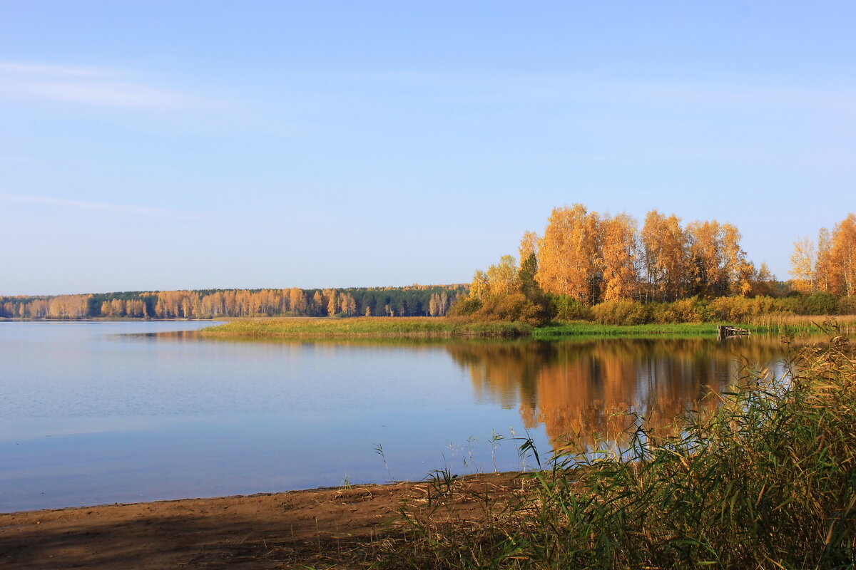 Осень.2020 год - Александр Щеклеин