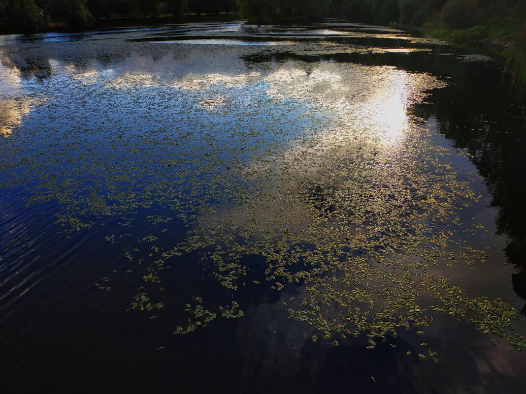 Хочу у зеркала спросить - Андрей Лукьянов