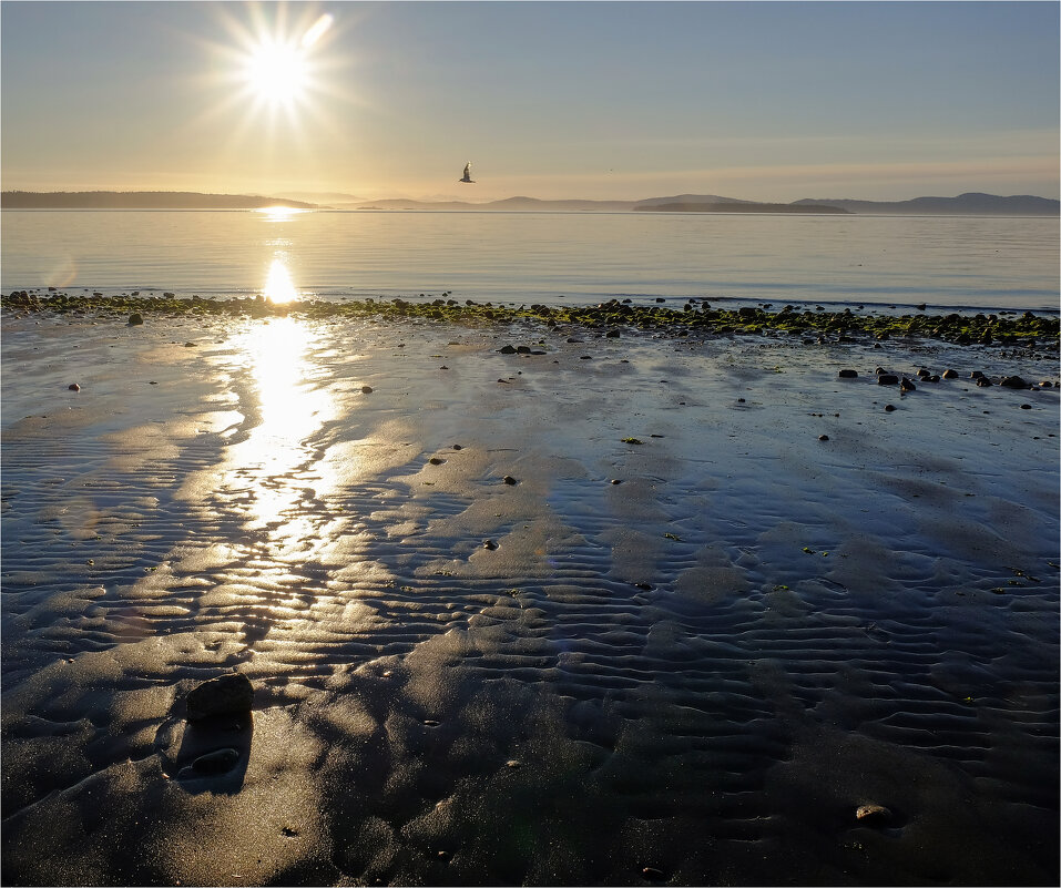 Отлив - Alexander Hersonski