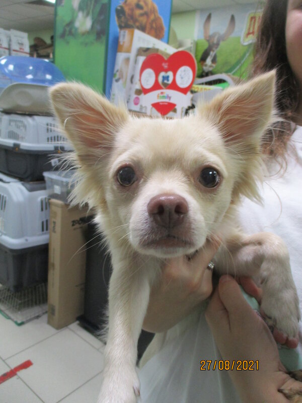 Малыш. - Зинаида 