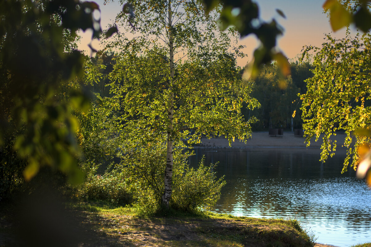 Осенний вид - Николай 