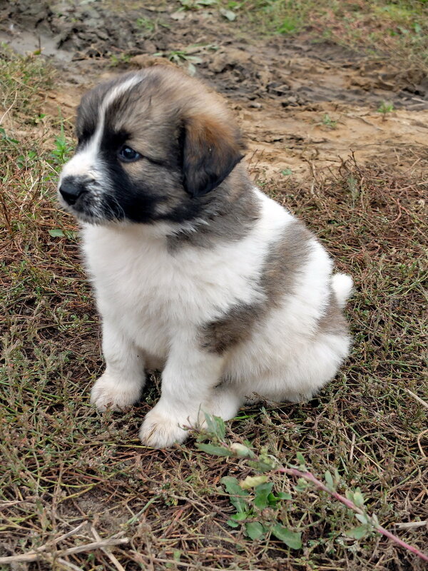 Где ты, мама? - Людмила Alex Где ты, мама? - Людмила Alex