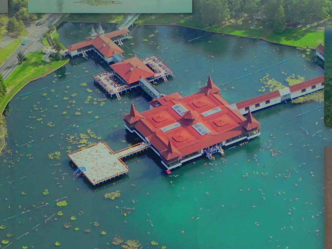 Термальное озеро Хевиза. - Светлана Хращевская