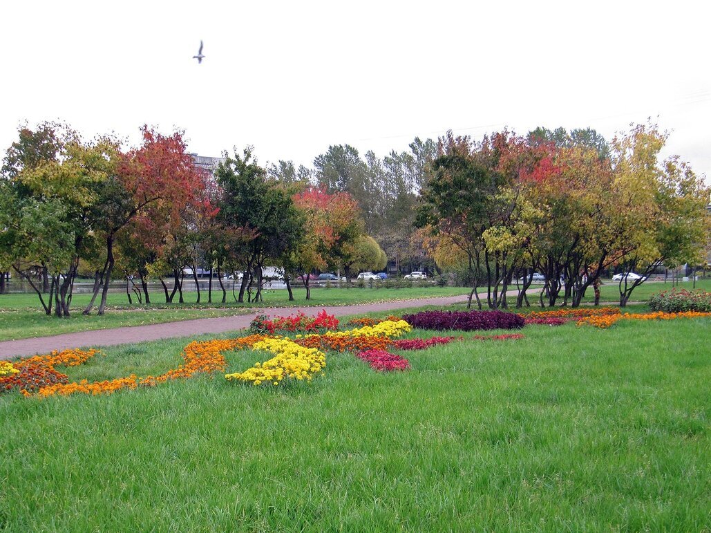 В осеннем парке - Вера Щукина