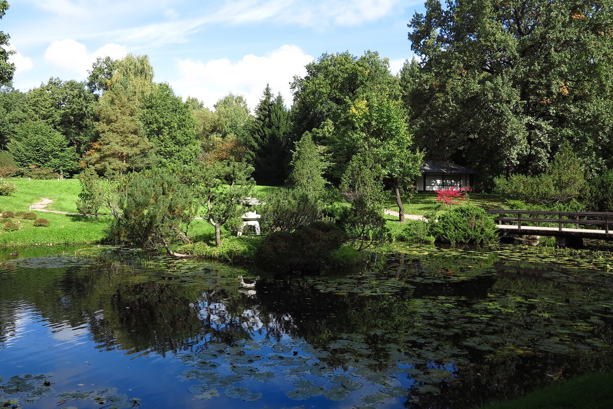 Японский сад. - Владимир однакО... Японский сад. - Владимир однакО...