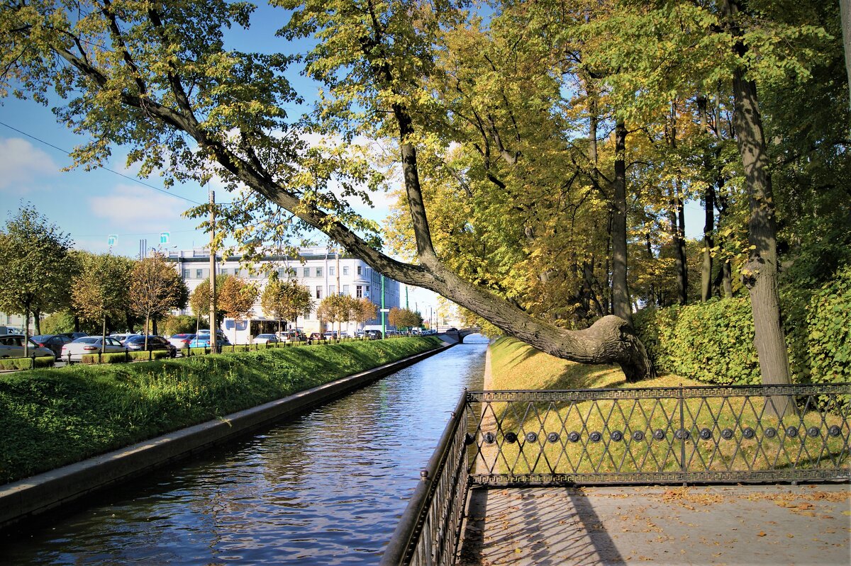 ЛЕБЯЖЬЯ КАНАВКА - Виктор Никитенко