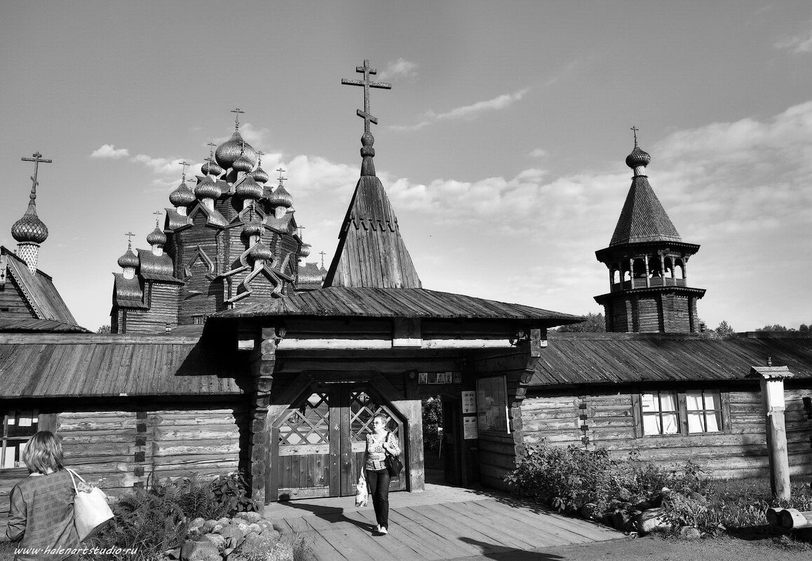 Невский лесопарк - Игорь Корф