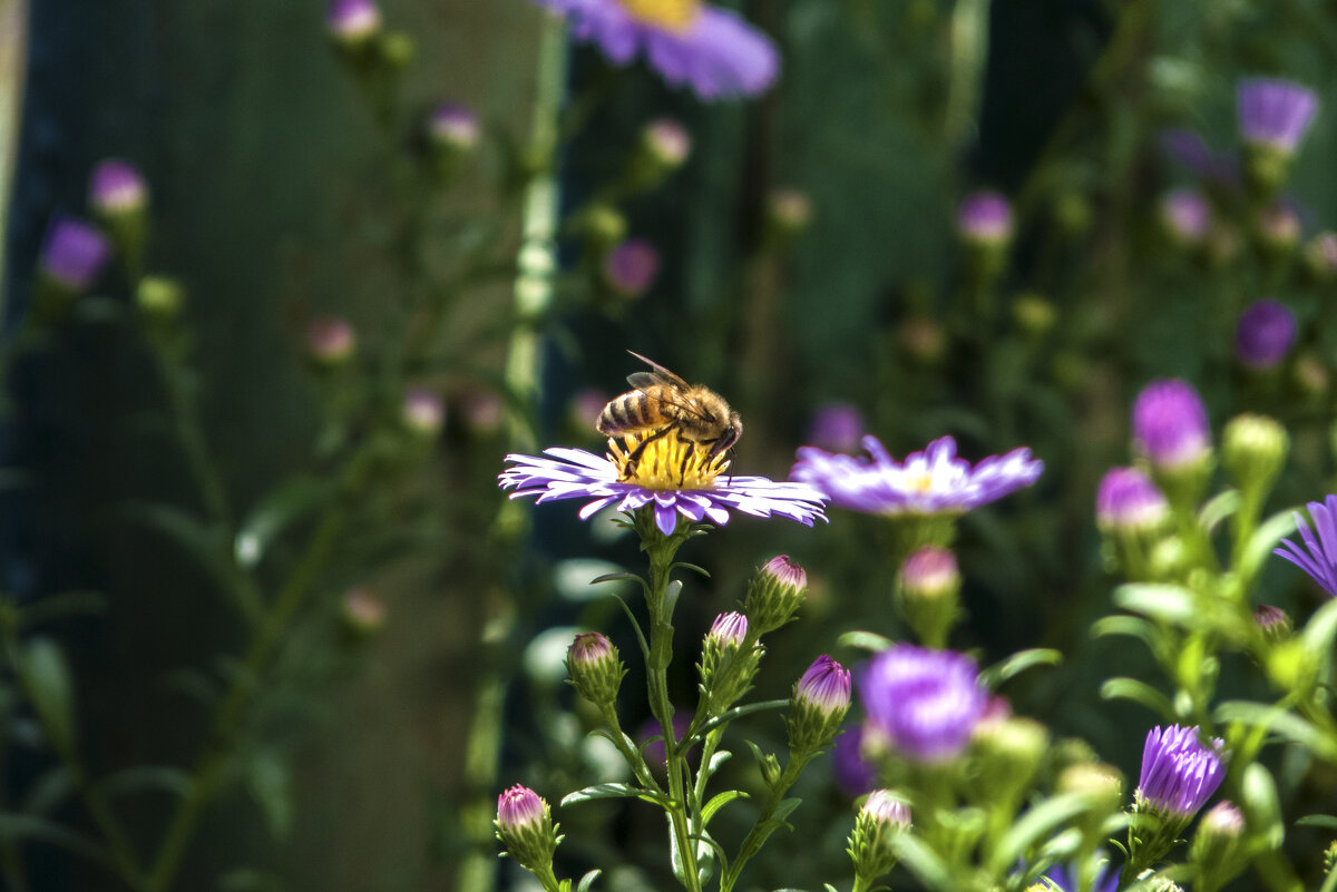 Надо  спешить,похолодало - Валентин Семчишин