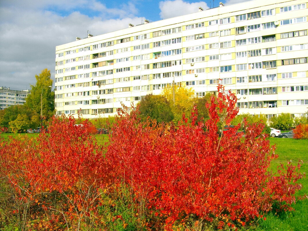 Осень в городе. - Лия ☼